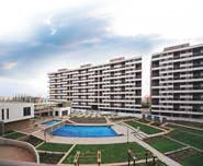 Project View